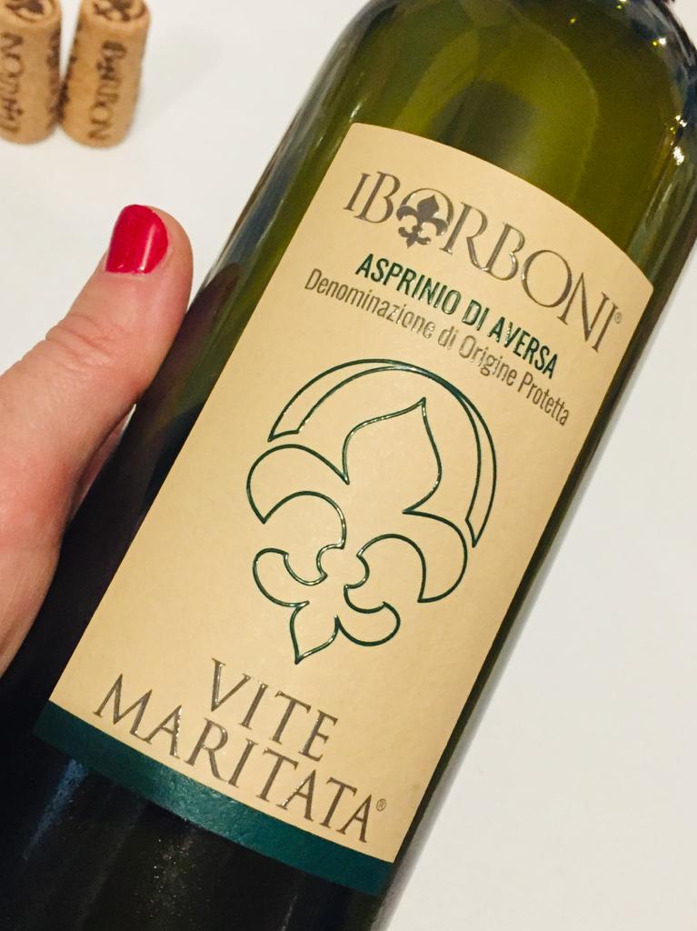 Santa claus in asprinio di aversa